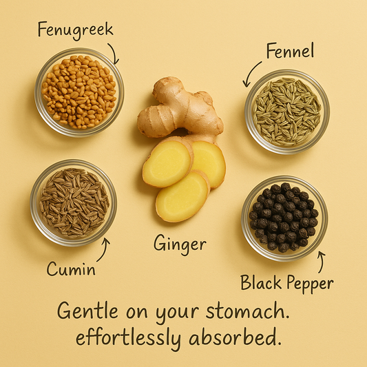 Plant Protein That’s Gut-Friendly and Bloating-Free: Whole Nutrition’s Secret