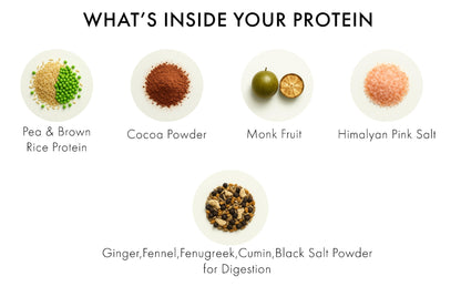 Whole Nutrition Plant Protein - Indonesian Cocoa