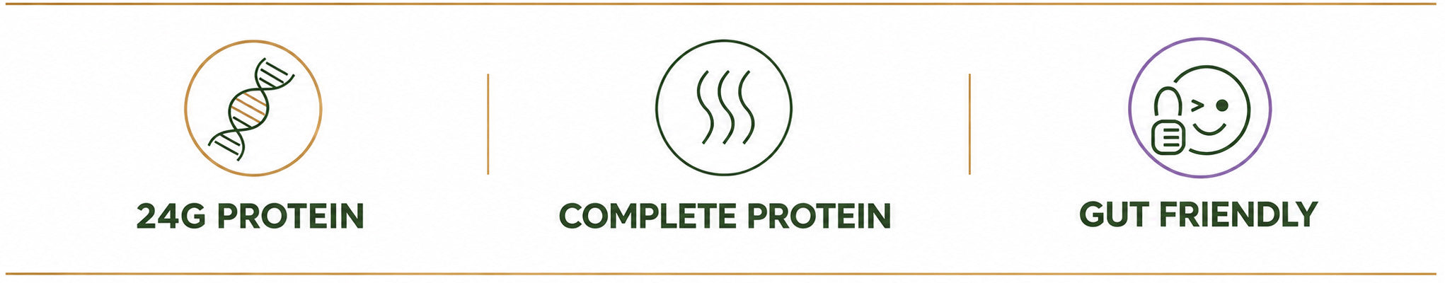 Plant Protein - Vanilla custom image