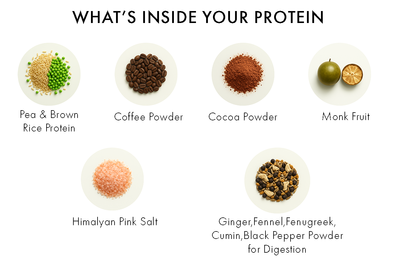 ingredient list of Whole Nutrition mocha coffee plant protein with clean vegan nutrition blend