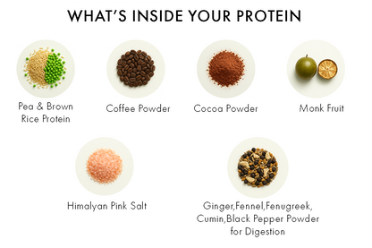 ingredient list of Whole Nutrition mocha coffee plant protein with clean vegan nutrition blend