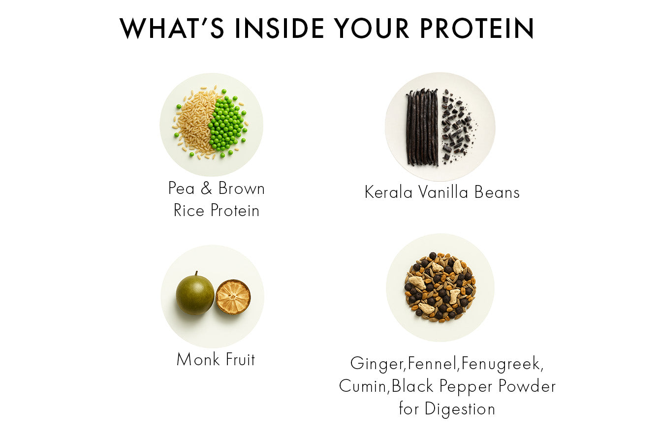 Ingredients listed as part of whole nutrition plant protein vanilla flavour product on a white background